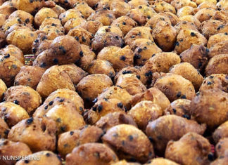 Oliebollenverkoop voor renovatie Molen de Duif