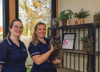 24 uur in de praktijk van dierenarts Marleen Schuit