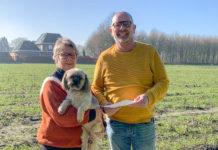 Hondenuitlaatrennen in Elspeet