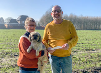 Hondenuitlaatrennen in Elspeet