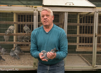 Duivenmelken is typische mannenhobby