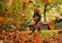 24 uur met een notaris