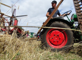 Gezins- en showdag van de Stichting Oldtimer Club Hulshorst
