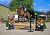 3e selectieconcours dressuur en springen
