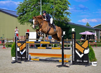 3e selectieconcours dressuur en springen