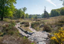 Lezing “Zoals het was en zo is het nu”. Het Rijksmonument op de Noorderheide in Vierhouten
