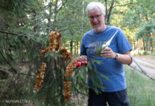 “Geen branddag maar plantdag”