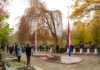 Herdenking Poppyday Nunspeet