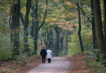 Goed nieuws voor wandelliefhebbers