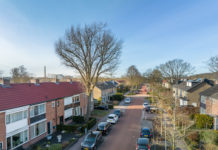 Bewoners zetten zaag in Monumentale Bomenlijst na communicatiefout