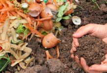 Gratis compost als dank voor het scheiden van GFTe-afval