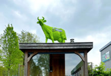 Het kunstgrasseizoen is van start gegaan bij Kunstgras de Veluwe