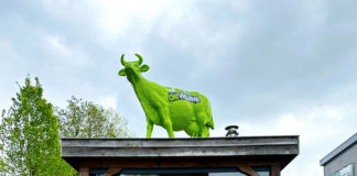 Het kunstgrasseizoen is van start gegaan bij Kunstgras de Veluwe