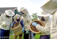 SGP wil duidelijkheid over bijenkasten