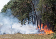 Brandweer op scherp: Verhoogde paraatheid en verkenningsvluchten vanwege dreigende droogte en natuurbrandgevaar