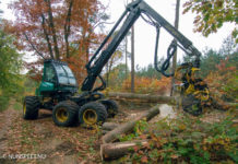 Boswerkzaamheden Vierhouterbos