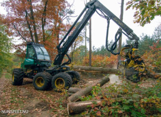 Boswerkzaamheden Vierhouterbos