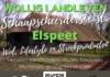 Schaapscheerdersfeest rondom de schaapskooi in Elspeet, voor mensen met passie voor wol, lifestyle en streekproducten
