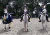 Twee gelderse kampioenen en vier reservekampioenen bij ponyclub Klein maar Dapper