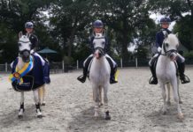 Twee gelderse kampioenen en vier reservekampioenen bij ponyclub Klein maar Dapper