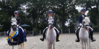 Twee gelderse kampioenen en vier reservekampioenen bij ponyclub Klein maar Dapper