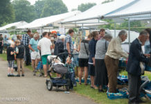 Grote Veluwse boekenmarkten in Elspeet