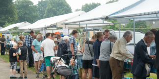 Grote Veluwse boekenmarkten in Elspeet