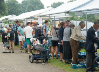 Grote Veluwse boekenmarkten in Elspeet