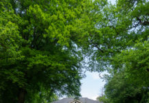 Geen beschermde status voor landgoed De Grote Bunte