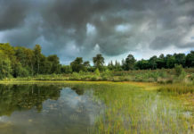 ‘Keizer vindt stem en taal in Nunspeets kreupelhout’