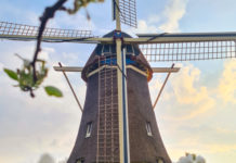 Gezellige Najaarsmarkt bij Molen de Duif