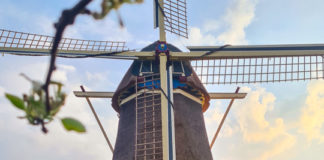 Gezellige Najaarsmarkt bij Molen de Duif