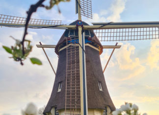 Gezellige Najaarsmarkt bij Molen de Duif