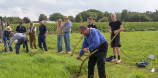 Boer’ndag met het open Elspeets kampioenschap maaien met de zeis