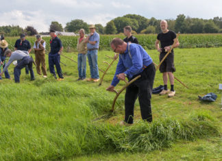 Boer’ndag met het open Elspeets kampioenschap maaien met de zeis