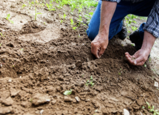 Vrijwilliger gezocht bij heemtuin ‘de Heimanshof’
