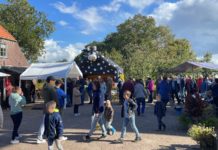 Zaterdag 2 september: Najaarsmarkt en oliebollen bij Molen de Dui