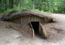 ‘Keizer vindt stem en taal in Nunspeets kreupelhout’