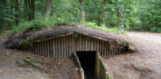 ‘Keizer vindt stem en taal in Nunspeets kreupelhout’