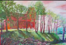 Expositie ‘Bravo’ in het Noord-Veluws Museum