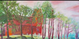 Expositie ‘Bravo’ in het Noord-Veluws Museum