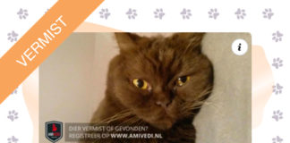 Wie heeft Beamer gezien?