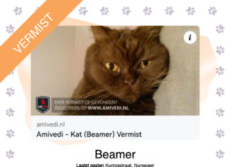 Wie heeft Beamer gezien?