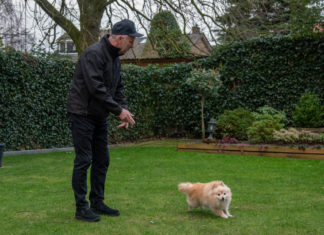 Passie voor (gehoorzame) honden