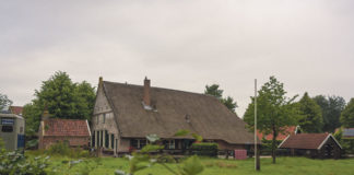 Verhalen van de straat: De Mouwenkolonie
