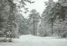 Tijdelijke wegafsluiting van Petersom Ramringweg