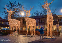 1000 euro beloning voor tip die leidt tot de daders van vernield hert
