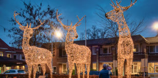 1000 euro beloning voor tip die leidt tot de daders van vernield hert