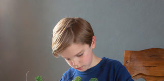 GRATIS kerststukjes maken bij tuincentrum GroenRijk Nunspeet