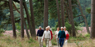 Veluwse Wandeldagen 8, 9 en 10 februari